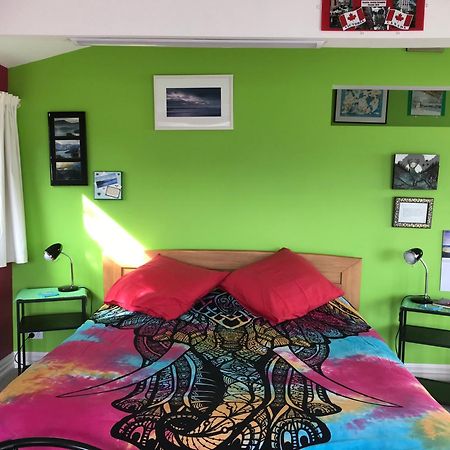 Piringa Bed and Breakfast Dunedin Esterno foto