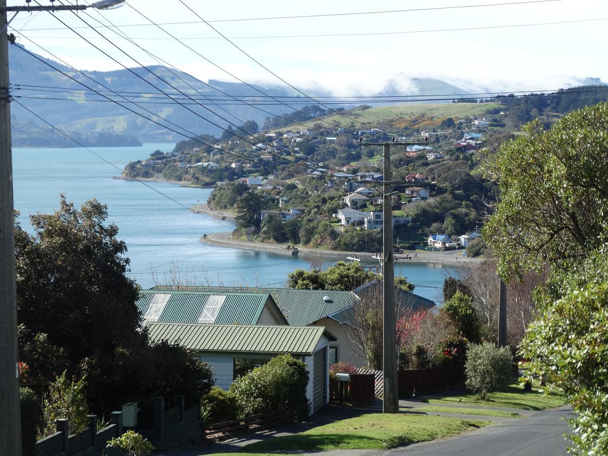 Piringa Bed and Breakfast Dunedin Esterno foto